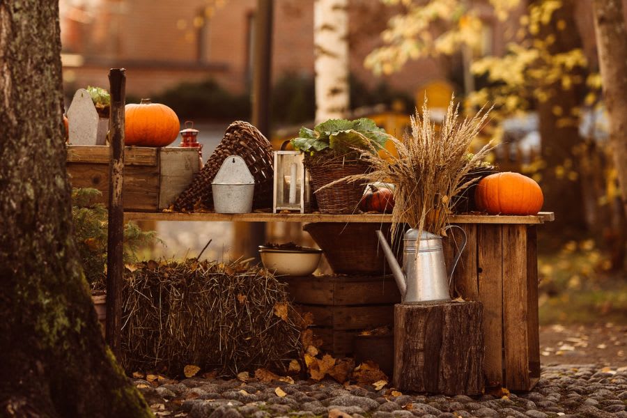 Finland in October: Embrace the Unforgettable Autumn Splendor 5 Finland in October