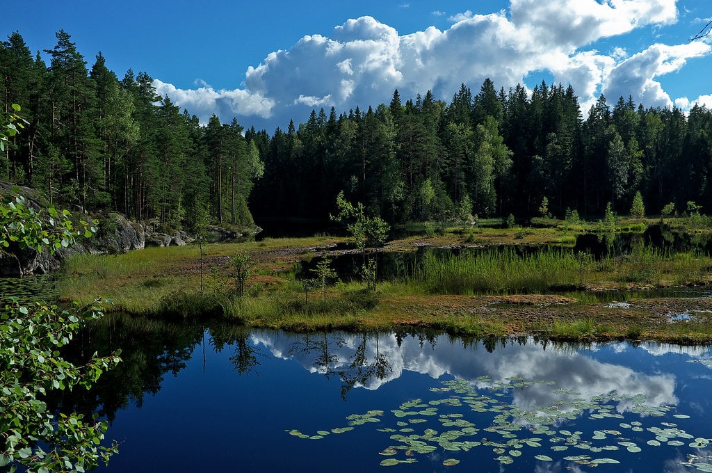 Finland in May: Embrace the Beauty of Arctic Spring 2 Helsinki's Nuuksio National Park