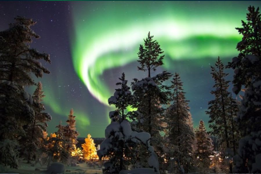 Finland in January: A Winter Wonderland of Adventure and Beauty 1 Northern Lights in Finland in January
