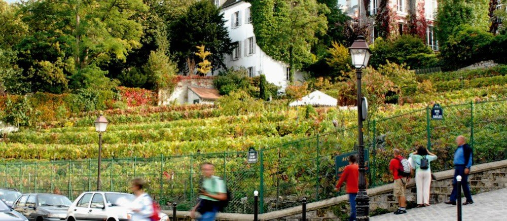 France in October: A Breathtaking Tapestry of Autumnal Splendor 2 Montmartre Grape Harvest Festival