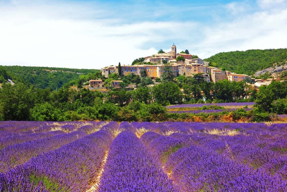 France in June: A Radiant Summer Sojourn 1 Lavender Fields of Provence