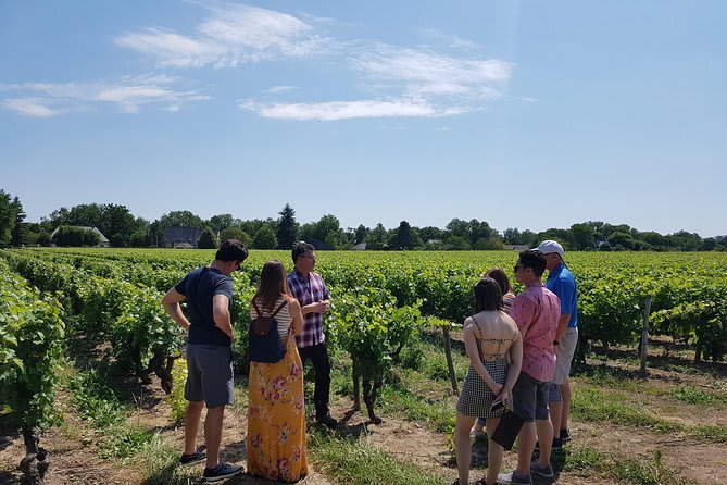 France in March: A Mesmerizing Mélange of Springtime Splendor 3 Wine Tasting in the Loire Valley