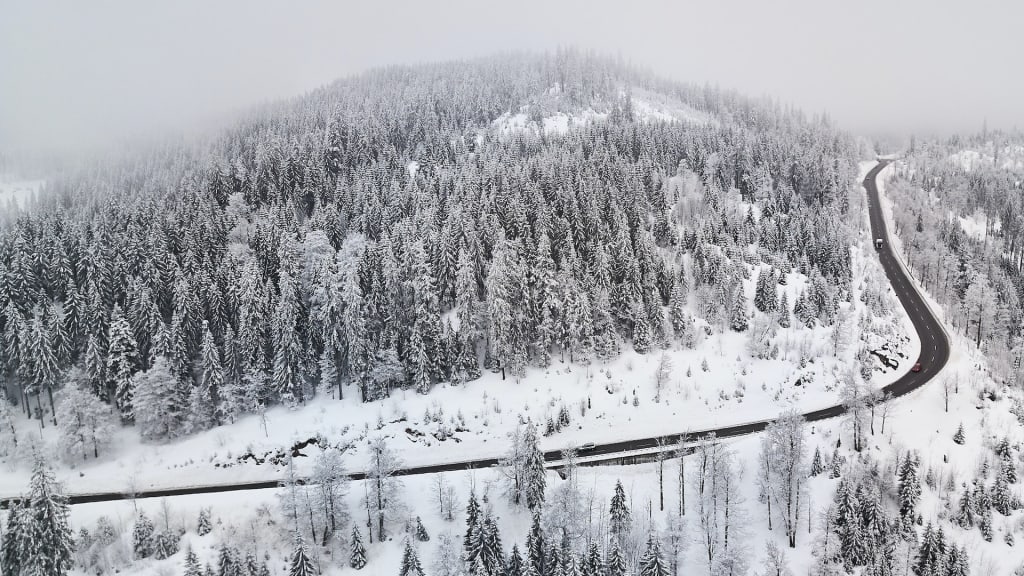 Discover the 5 Best of Germany in Winter: A Guide to Castles, Culture, and Cuisine 4 Black forest in winter