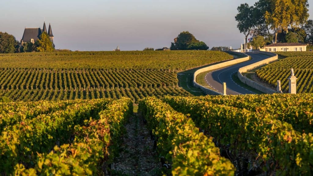 France in April: A Vibrant and Flourishing Tapestry of Culture and Nature 3 Bordeaux Wine Tours
