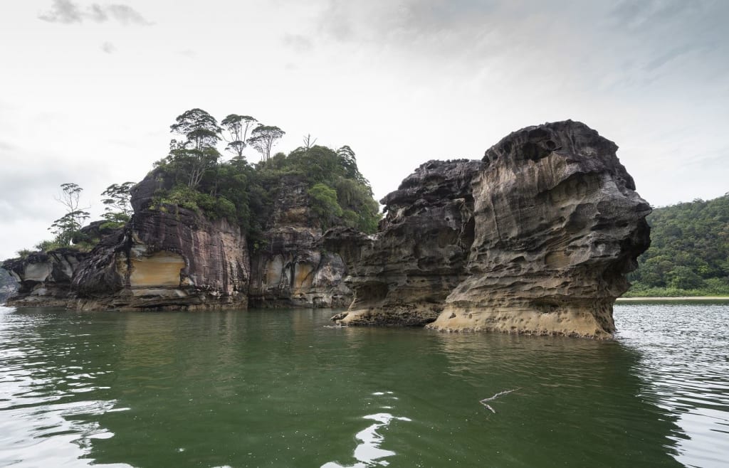 Discover the 2 Best of Malaysia's Nature and Wildlife: A Guide to Bako National Park and Sepilok Orangutan Sanctuary 1 Bako National Park, Malaysia