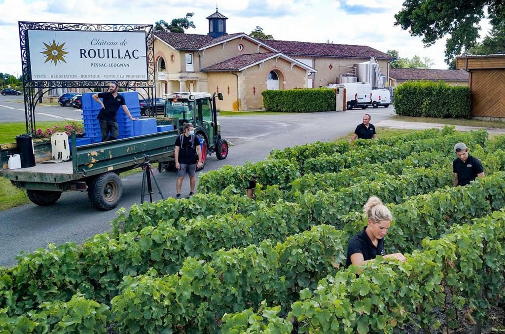 France in September: Celebrating the French Autumn's Delight 1 Bordeaux Wine Harvest in France in September