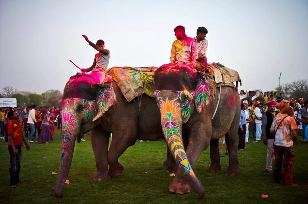Holi Festival: Top 4 Spectacular Places to Celebrate in India. 7 Elephant festival in India