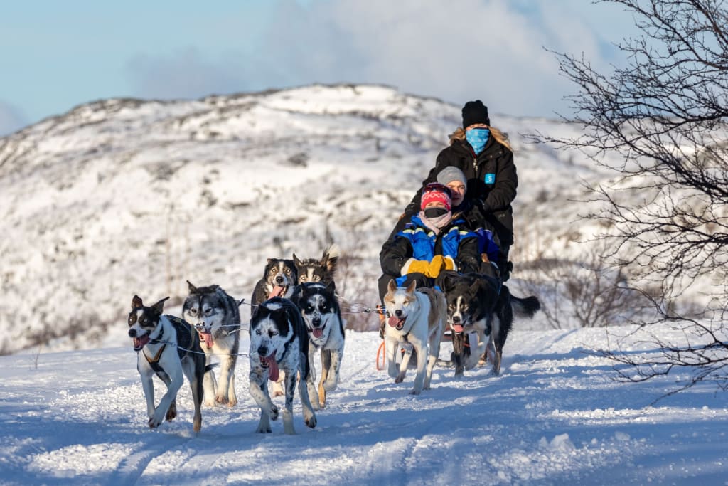 Finland in December: Embrace the Enchanting Winter Wonderland and Unleash Unforgettable Adventures 3 Huksy Safari in Finland in December