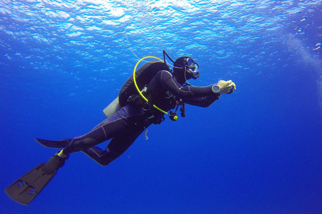 Costa Cruise India: Discovering the Mesmerizing Lakshadweep Islands 3 Underwater Wonders and Marine Encounters