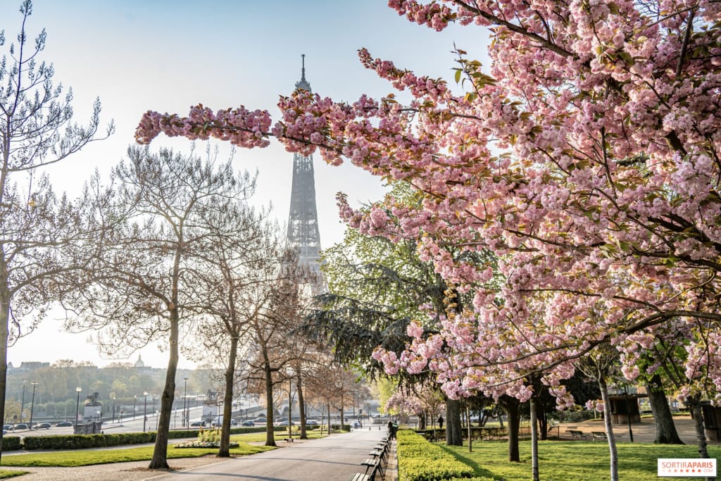 France in April: A Vibrant and Flourishing Tapestry of Culture and Nature 1 Cherry Blossom Splendor in Paris in France in April