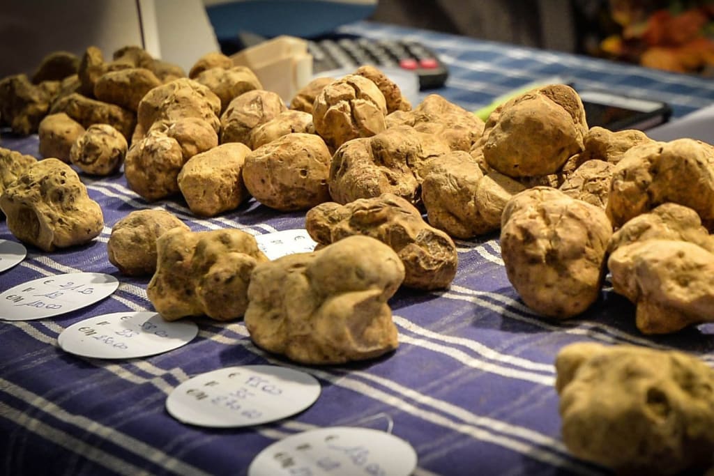 Italy in March: A Springtime Radiant Splendor 4 Alba's White Truffle Fair