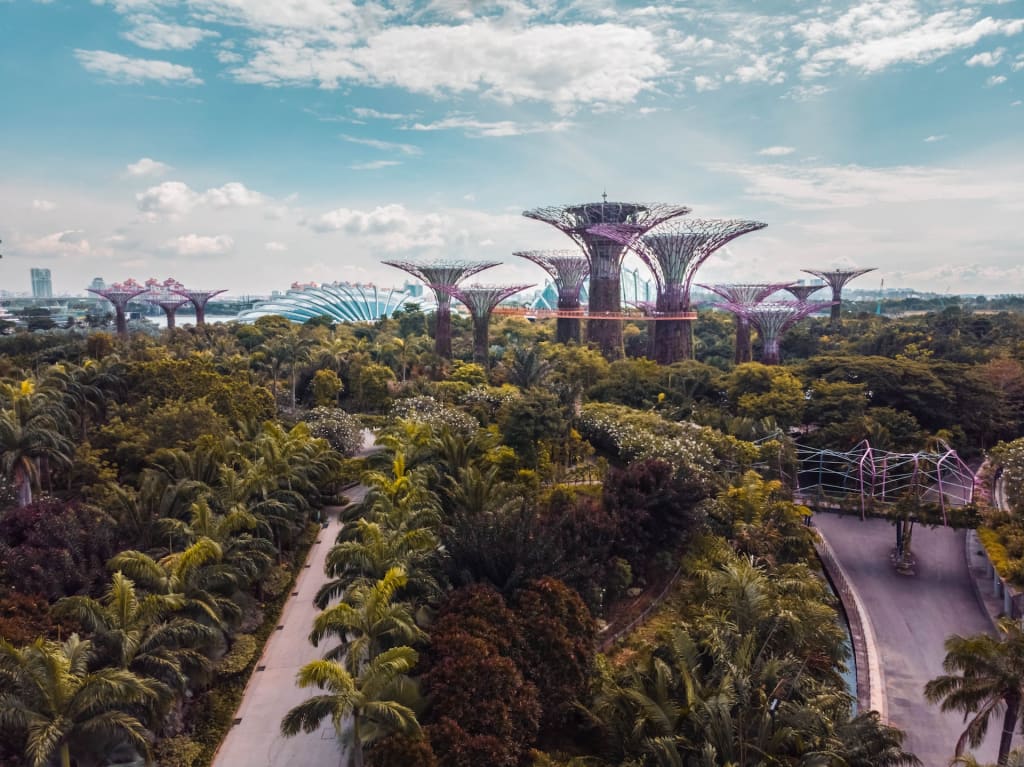 Discover the 2 Best of Singapore's Shopping and Architecture: Marina Bay and Orchard Road 3 Gardens by the Bay