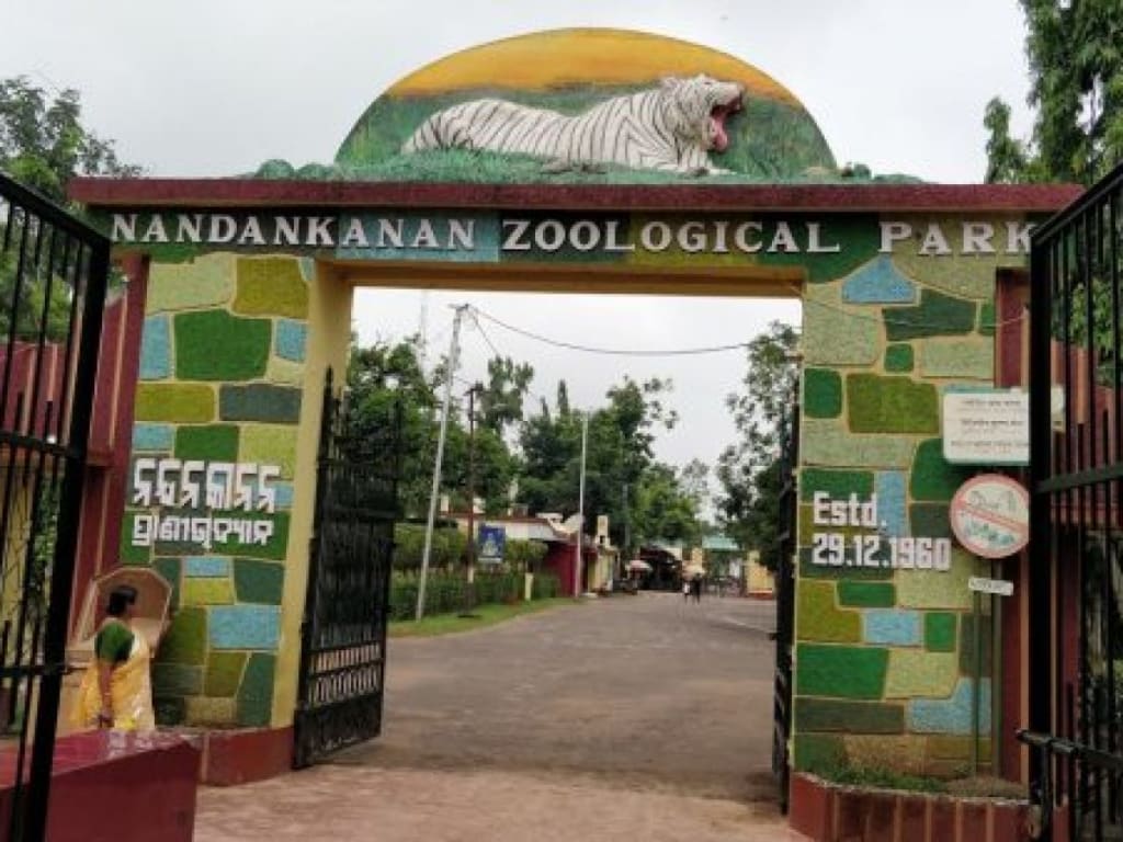 Kolkata and Bhubaneshwar: Explore the 7 Best Places to Visit 5 Nandankanan Zoological Park, Bhubaneshwar