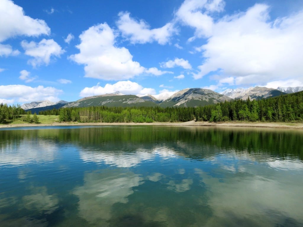 Betla National Park: 5 Reasons Why Adventure and Natural Beauty Lovers Must Visit 3 Betla Lake in Betla National Park