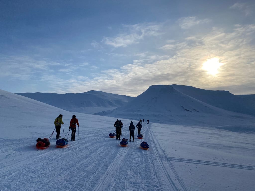Norway in June - A Summer Wonderland of Endless Daylight and Nature's Grandeur 4 Arctic Adventures in Svalbard