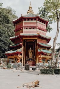 8 Best Things To Do in Krabi, Thailand to evoke the travel enthusiast in you! 6 Krabi Town