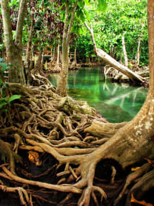 8 Best Things To Do in Krabi, Thailand to evoke the travel enthusiast in you! 7 Ao Luk