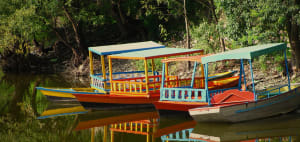 Best Offbeat Destinations in Uttarakhand to Visit This Winter 2021. 6 Best offbeat Destinations In Uttarakhand