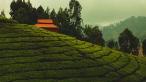 Best Destinations in India to spend the summers in 2022. 10 Best Destination