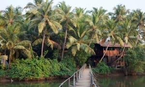 8 Best Fitness Retreats For Your New Year Resolutions! 5 fitness-retreat