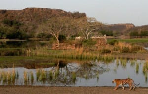 7 Best tourist places to visit in Meghalaya for an astounding experience 3 7 Best tourist places to visit in Meghalaya for an astounding experience 2