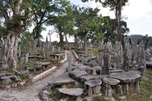 7 Best tourist places to visit in Meghalaya for an astounding experience 4 Meghalaya
