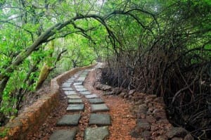 5 Best Little Excursions For Long Weekends 1 Weekend
