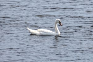 7 Beautiful Bird Sanctuaries to explore in India 4 7 Beautiful Bird Sanctuaries to explore in India 4
