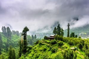 8 Best Summer Holiday Getaways From Delhi 5 8 Best Summer Holiday Getaways From Delhi 4