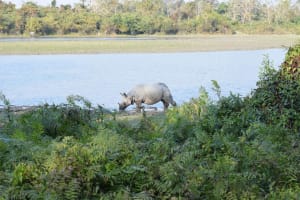 List of 15 best UNESCO World Heritage Sites in India 8 List of 15 best UNESCO World Heritage Sites in India 7