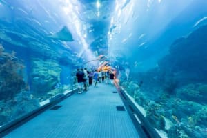 Visit Dubai In May 2022 To Have A Unique Holiday Experience. 2 dubai