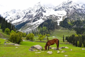 Best Destinations in India to spend the summers in 2022. 4 Best Destinations in India to spend the summers in 2022. 4