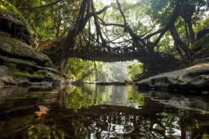25 Best Places In North East India You Must Visit 16 Mawlynlong