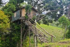 25 Best Places In North East India You Must Visit 14 Reiek Village
