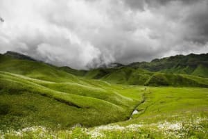 25 Best Places In North East India You Must Visit 10 Dzuko Valley