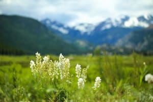 Best Time to Visit North East India 2021 1 Best Time To Visit North East india