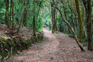 5 Best Little Excursions For Long Weekends 5 Weekend