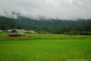 25 Best Places In North East India You Must Visit 4 North East India