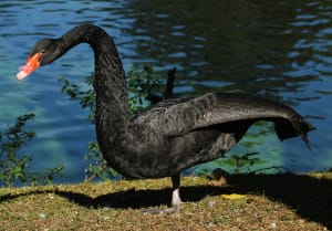 7 Beautiful Bird Sanctuaries to explore in India 5 7 Beautiful Bird Sanctuaries to explore in India 5