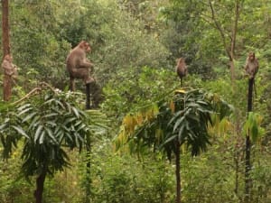 11 Best Holiday Getaways from Mumbai 1 11 Best Holiday Getaways from Mumbai 1