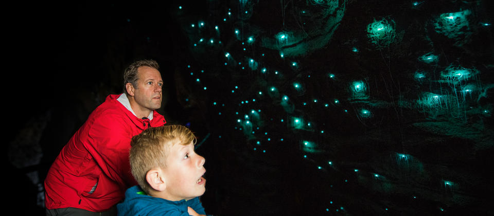 Waitomo Glow Worm Caves