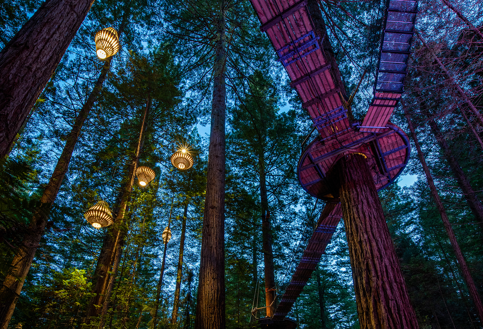 Redwoods Treewalk