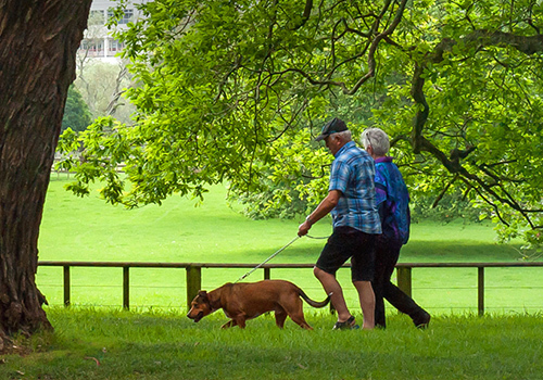 Cornwall Park