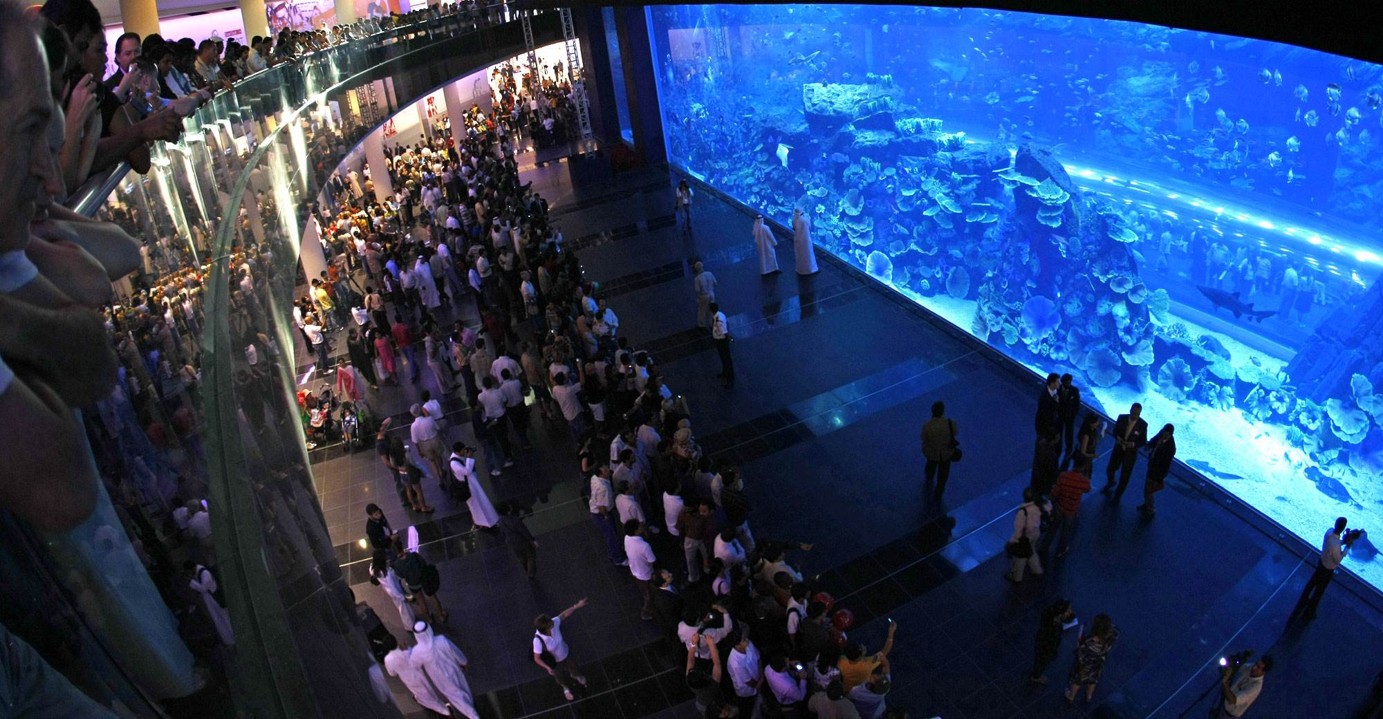 Dubai Aquarium and Underwater Zoo