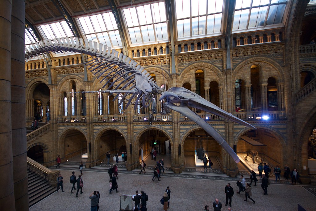 Natural History Museum