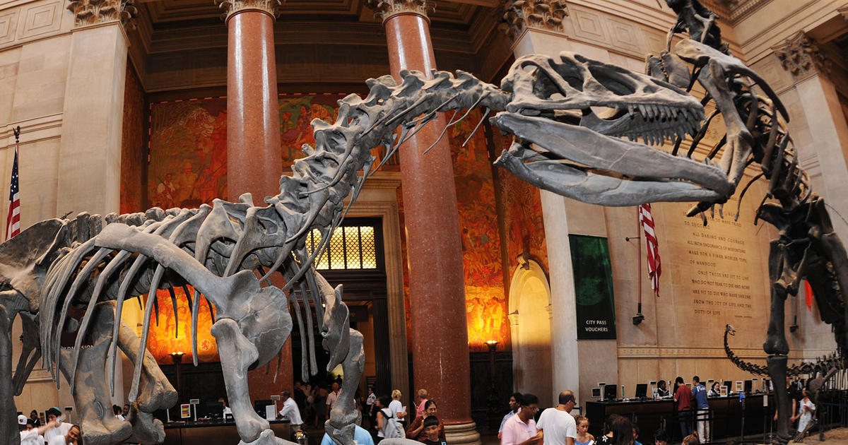 American Museum of Natural History