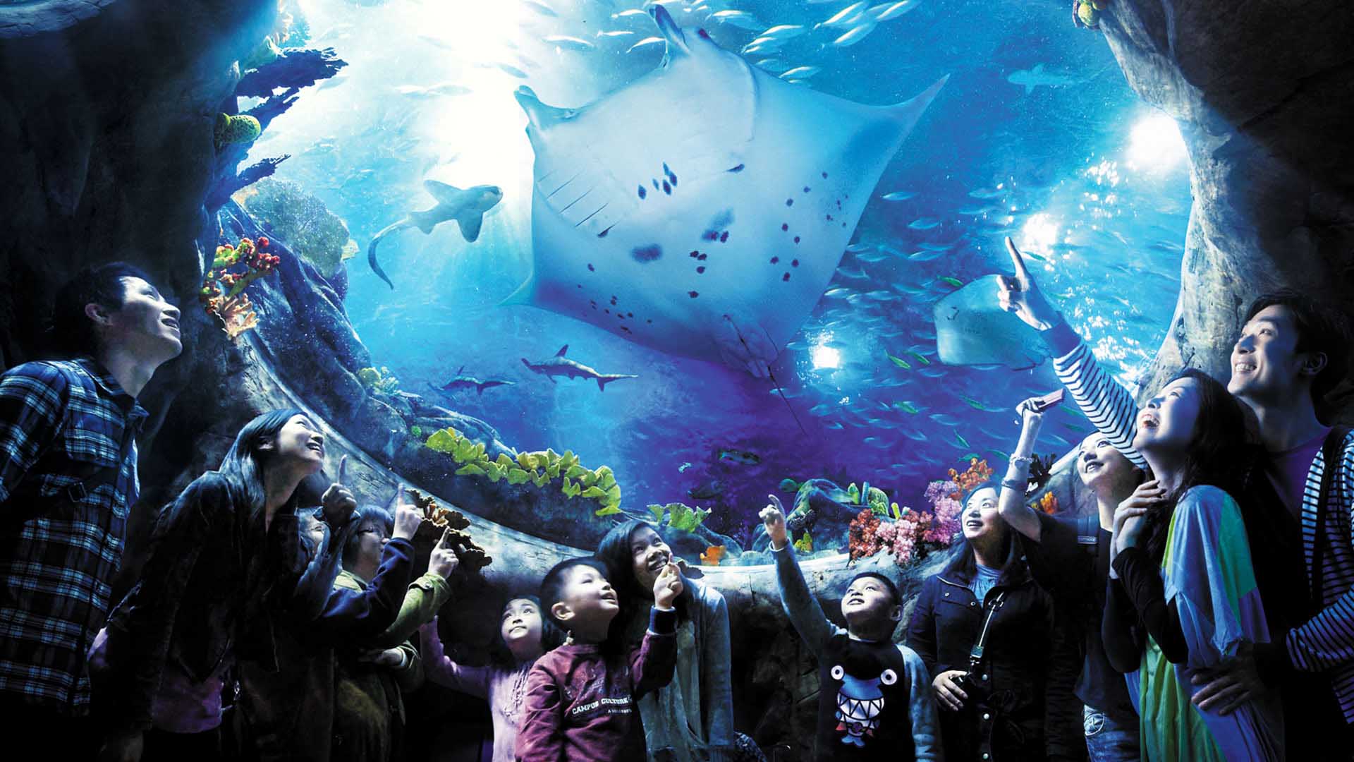 Ocean Park