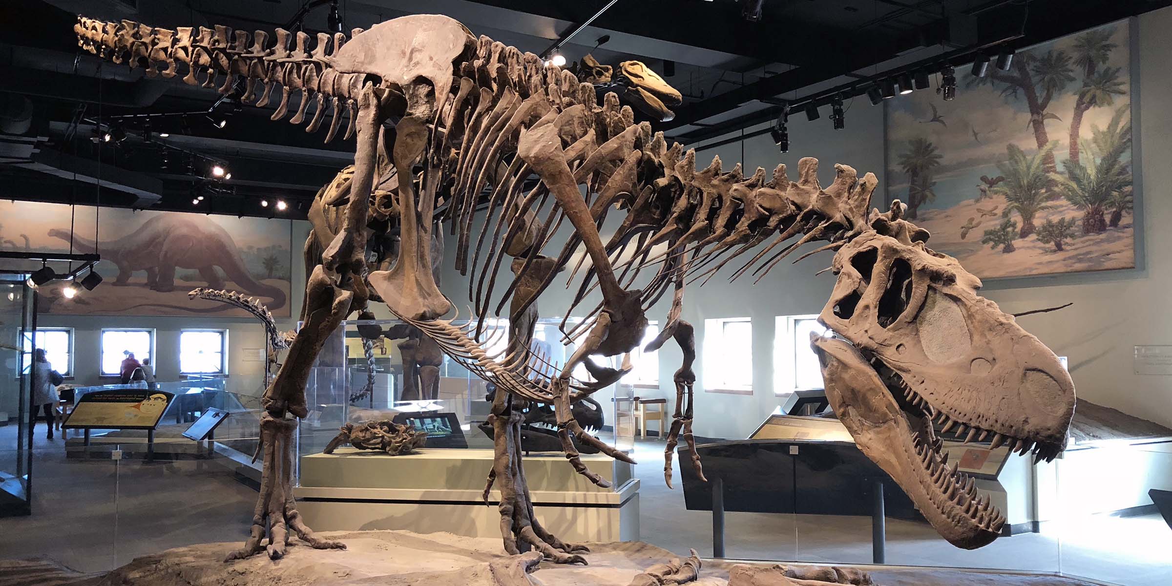 Field Museum of Natural History (FMNH)