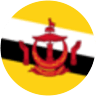 Brunei bayrağı