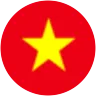 Vietnam bayrağı
